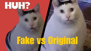 Huh Cat Meme  FAKE vs ORIGINAL [upl. by Joshia]