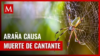 La mortal araña bananera Causa de la inesperada muerte del cantante Darlyn Morais [upl. by Treblah]