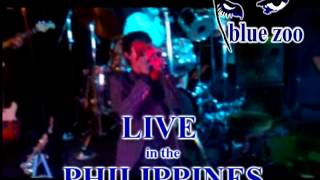 Blue Zoo Live in Manila [upl. by Zacek]