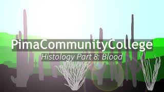 BIO 156 Histology Part 8  Blood [upl. by Lenee206]