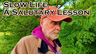 Slow Life A Salutary Lesson [upl. by Wesa]