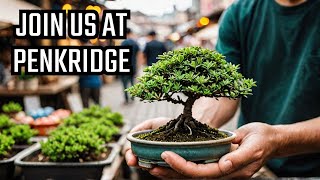 Come with us to the new Bonsai Event at Penkridge Markets [upl. by Eelsew345]