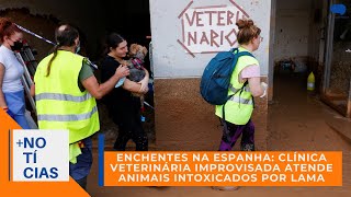 CLÍNICA VETERINÁRIA IMPROVISADA TRATA ANIMAIS APÓS ENCHENTES NA ESPANHA [upl. by Tade]