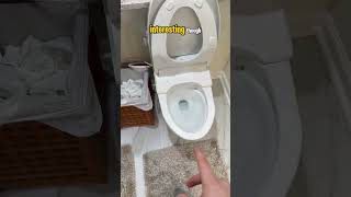 What do you think they put down the drain handyman diy plumbing [upl. by Chere]