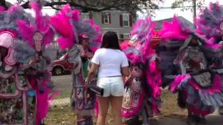 Mardi Gras Indians on Super Sunday [upl. by Douglas606]