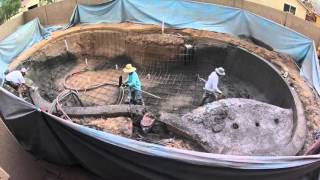 FreeForm Swimming Pool Shotcrete [upl. by Brandwein998]