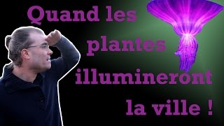 Vers une bioluminescence végétale [upl. by Eisenberg103]