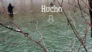 Hucho Fly Fishing  Can he catch it [upl. by Harriett668]