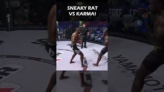 SNEAKY RAT VS KARMA [upl. by Enillebyam942]