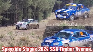 Speyside Stages 2024 SS6 Timber Avenue [upl. by Atteloc]