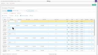 NBRC Paylocity 3 Timesheet sick 3 [upl. by Wiatt]