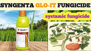 SYNGENTA GLOIT FUNGICIDE  PROPICONAZOLE 139 DIFENOCONAZOLE 139  GLOIT SYNGENTA [upl. by Goldshell]