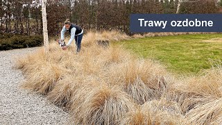 Trawy ozdobne  przycinanie i nawożenie traw ozdobnych Ogród ozdobny [upl. by Hamner]