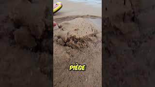 Il a Découvert un PIEGE sur la PLAGE shorts viral [upl. by Nysilla]