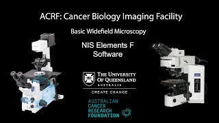 12 Widefield Microscopy Training Image Acquisition NISF Elements [upl. by Dulcle234]