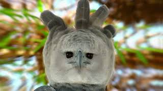 5 Eagles That Could Defeat A Harpy Eagle [upl. by Norag]