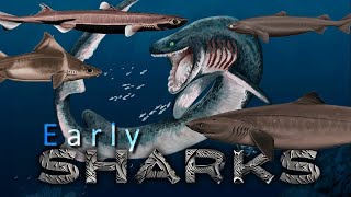 Prehistoric SHARKS and those from the Abyss [upl. by Pasahow]