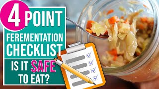 FERMENTATION CHECKLIST  4 Checks To Know If Your Ferment Is Safe To Eat [upl. by Marcella468]