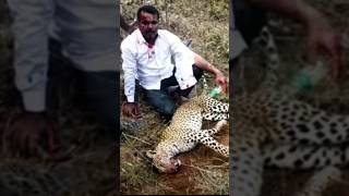 El Hombre que Venció a un Leopardo con sus Puños [upl. by Kraska213]