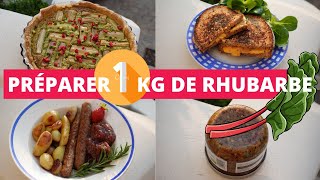 Comment préparer 1kg de rhubarbe  recettes de tarte confiture chutney amp sauce fermentée [upl. by Dnalkrik]