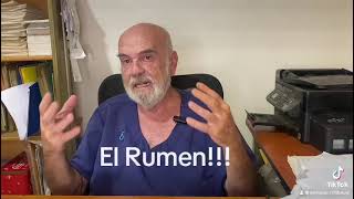 EL ROL DEL RUMEN EN LA DIGESTIÓN DE LOS RUMIANTES [upl. by Attenor]