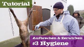 3 Hygiene  Schwarzwild  Lehrgang Aufbrechen amp Zerwirken [upl. by Messing]