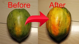 How to Ripen Papaya at Home [upl. by Niwroc]