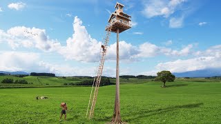 Absolutely Perfect  Build Greatness Higher Treehouse With One Tree [upl. by Ewan]