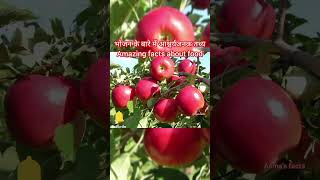 raic apple and leson in thino ka mazedar kirdar 😱😱😱facts food amazingfacts subscribe asmafact [upl. by Ahsats]