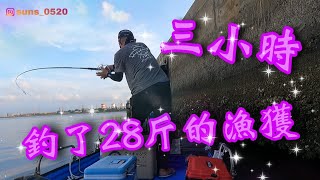 活魚放流 原來魚都躲在這裡 短短3小時 一直咬不停 興達港魚獲驚人 放流路亞磯釣 ＃合興大鮸魚＃紅槽＃孔雀蛤 [upl. by Eerat997]