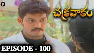 Episode 100  Chakravakam Telugu Daily Serial [upl. by Dorinda81]