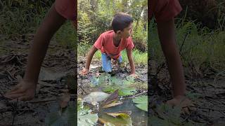 Survival Skills SIMPLE and Useful With Big Fish Funny Contentbushcraftcampingoutdoors [upl. by Aneehsit]