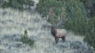 WYOMING 2017 KILLSHOTS [upl. by Friedlander]