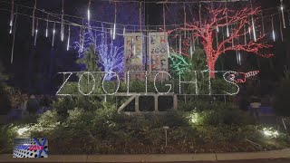 15th Annual Zoolights returns for another year at the Smithsonian National Zoo [upl. by Barbuto672]