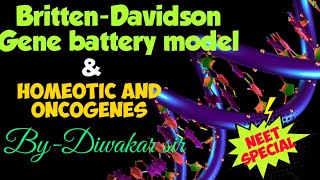 Britten Davidson  Gene battery model  Homeotic genes and oncogenes [upl. by Yrrehc]