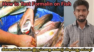 மீன்களில் Formalin கண்டுபிடிப்பது எப்படி How to Test Formalin on Fish  Sarakku Kappal  110 [upl. by Lednem]