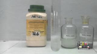 Sodium sulphate and Barium chloride [upl. by Cyna]