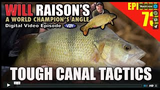 Target BIG Canal Perch amp Silvers  Will Raison Fishing [upl. by Leinahtan345]