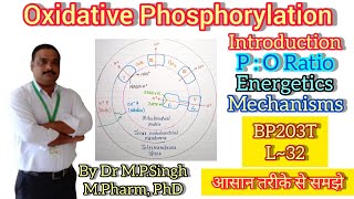 Oxidative Phosphorylation  Chemiosmotic Hypothesis  PO Ratio  Biochemistry  BP203T  L32 [upl. by Siravat314]