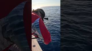 Pumping WindingWinching fishing jigging fish [upl. by Ylenats]