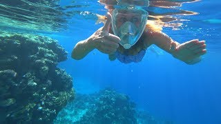 RED SEA SNORKELING  SIVA SHARM RESORT amp SPA SHARM EL SHEIKH  4K [upl. by Megdal]