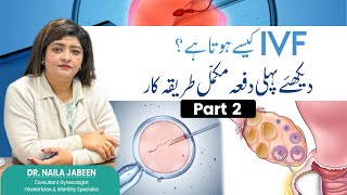 IVF Process Step by Step Dr Naila Jabeen part 2 [upl. by Osbourne]