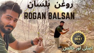 Roghan e balsan in Madina Badr Roghan Balsan purest best quality [upl. by Narba]