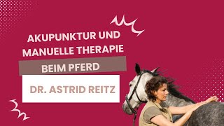 Akupunktur und Manuelle Therapie beim Pferd  Dr Astrid Reitz [upl. by Odinevneib]