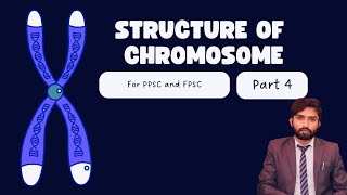 Nucleosome formation  Histone proteins  Structure of Chromosome Part4 [upl. by Recneps]