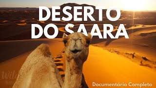 DESERTO DO SAARA  A BELEZA OCULTA DO INFINITO  Documentário Completo [upl. by Neyud606]