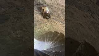 One of many spiral staircases at Carnasserie Castle nr Kilmartin Argyll Scotland castle Scotland [upl. by Llednahs254]