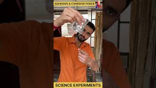 adhesive and cohesive force  science experiment experiment science physics [upl. by Kalinda]