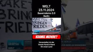 Berlin Demo 23112024 und WELT diffamiert friedliche Demonstrierende 😳 [upl. by Bowers972]