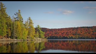 Algonquin Park Yours to Explore wwwalgonquinparkonca [upl. by Nylarat]